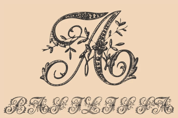 Basilissa Font: Flowery Display Type for Digital Campaigns