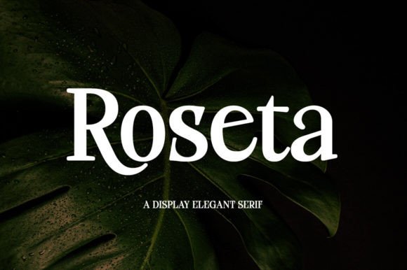 Roseta Font: Elevating Luxury Web Design